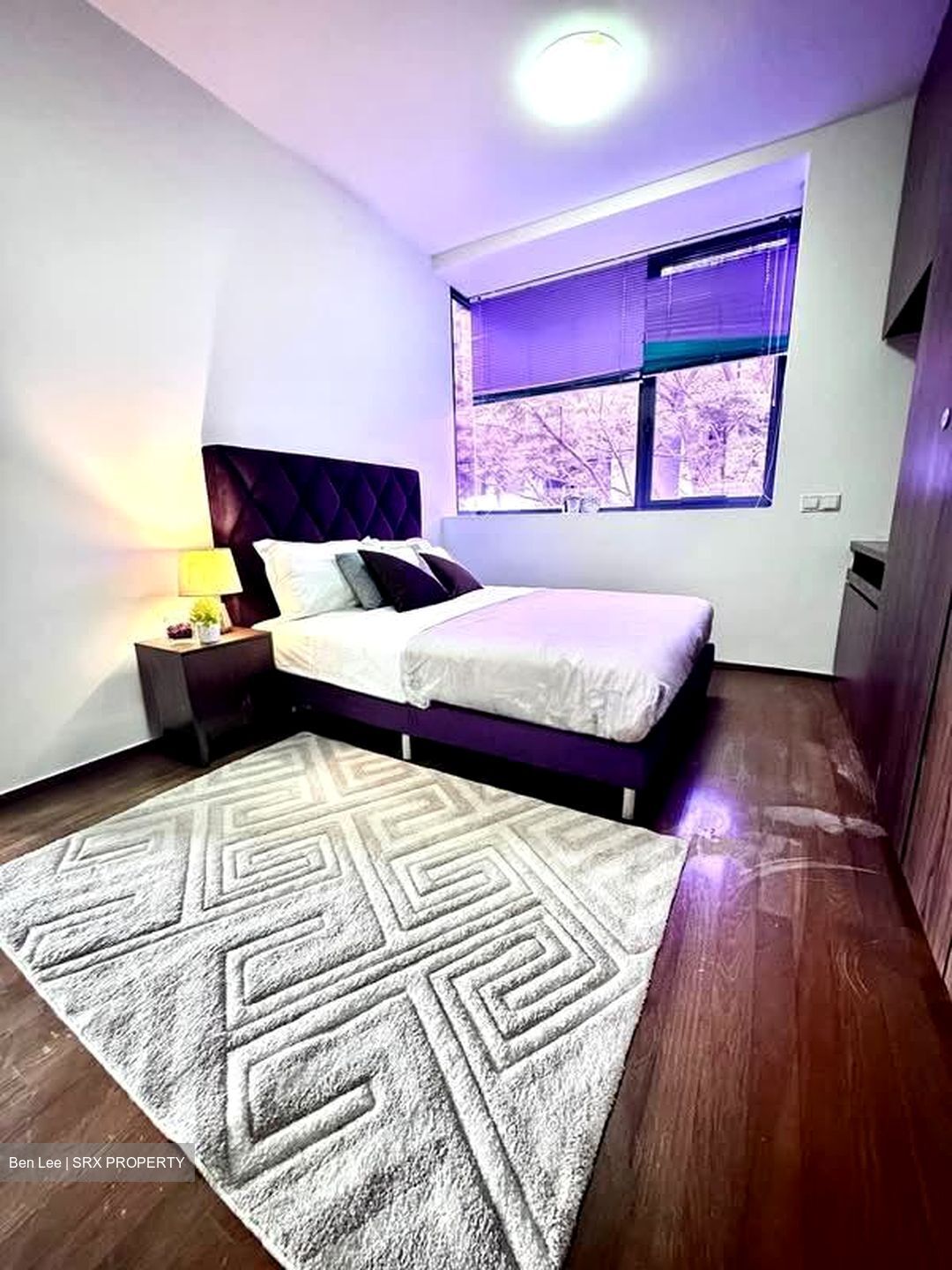 Treasure Place (D5), Condominium #573896641